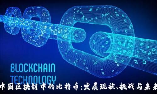   
中国区块链中的比特币：发展现状、挑战与未来