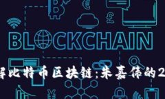 深入理解比特币区块链：朱嘉伟的25讲精华