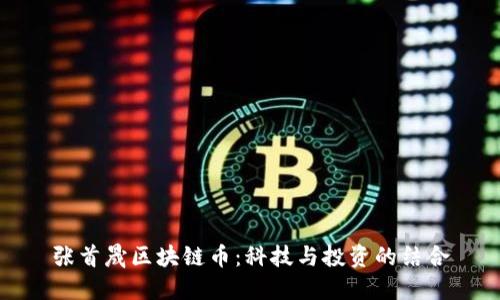 张首晟区块链币:科技与投资的结合