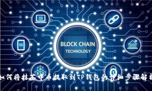 如何将抹茶中币提取到TP钱包的详细步骤解析