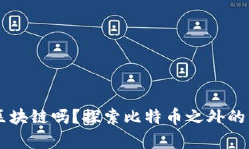 有比特币成熟的区块链吗？探索比特币之外的区块链技术与应用