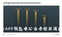 如何解决APP钱包中公交卡突然消失的问题