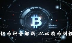 中国区块链币种全解析：从比特币到数字人民币