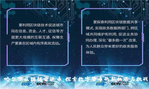  哈尔滨区块链雷达币：探索数字货币的新机遇与挑战