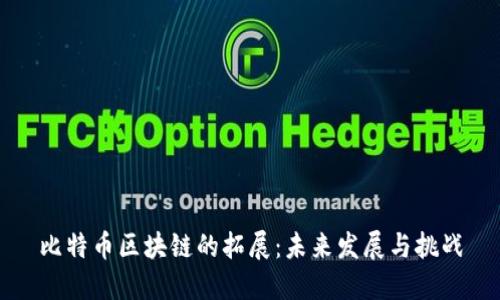 比特币区块链的拓展：未来发展与挑战