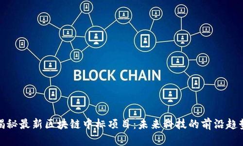 揭秘最新区块链中标项目：未来科技的前沿趋势