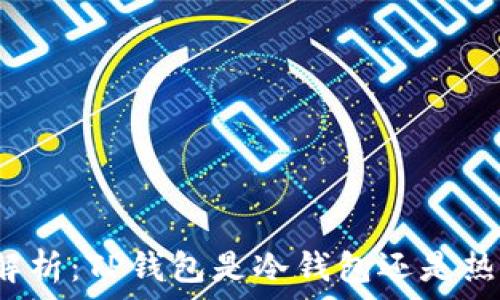  
全面解析：TP钱包是冷钱包还是热钱包？