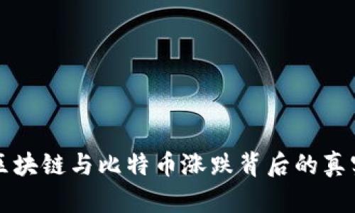 揭秘区块链与比特币涨跌背后的真实原因