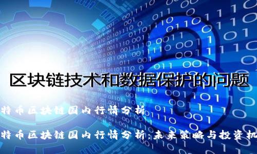 比特币区块链国内行情分析

比特币区块链国内行情分析：未来策略与投资机遇