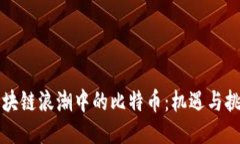 区块链浪潮中的比特币：机遇与挑战