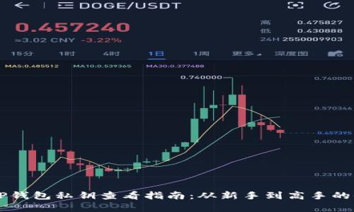 电脑版TP钱包私钥查看指南：从新手到高手的全面解析
