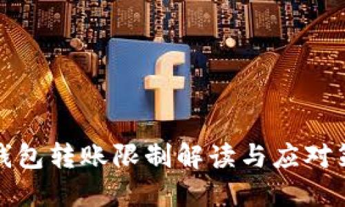TP钱包转账限制解读与应对策略