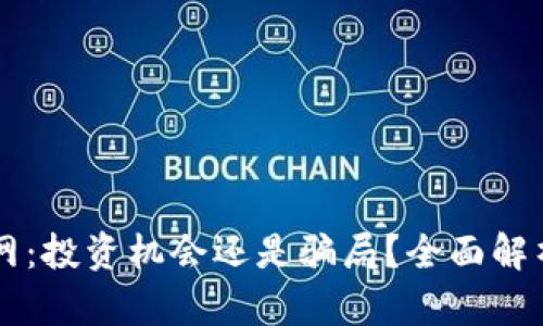 区块链币倍网：投资机会还是骗局？全面解析与风险指南