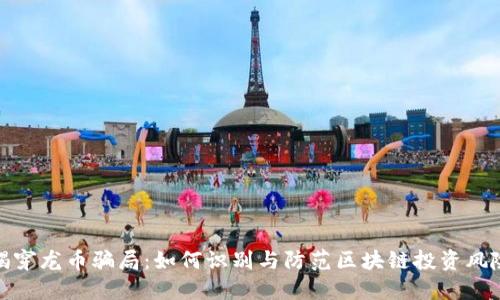 揭穿龙币骗局：如何识别与防范区块链投资风险