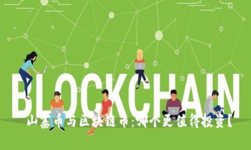  山寨币与区块链币：哪个更值得投资？