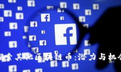 探索其他区块链币：潜力与机会