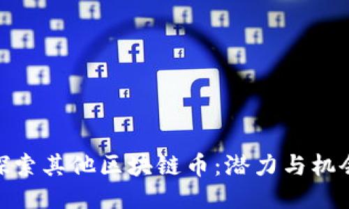 探索其他区块链币：潜力与机会